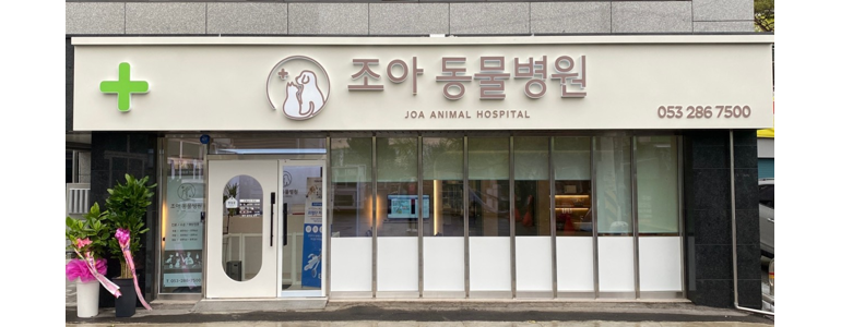 대구 북구 동물병원