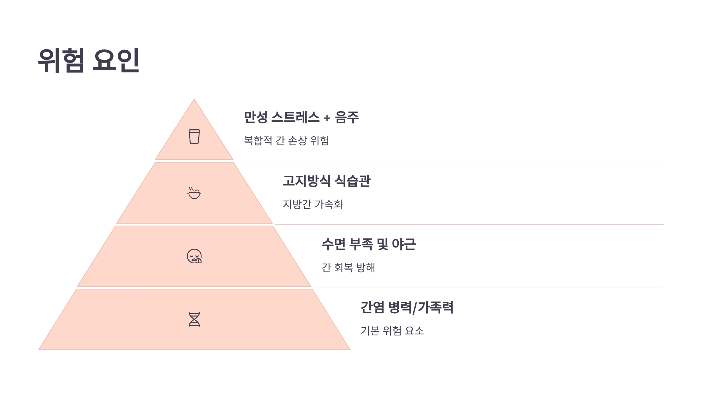 위험 요인