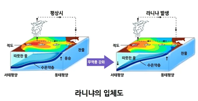 라니냐 현상