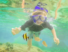 물고기 꿈해몽 풀이