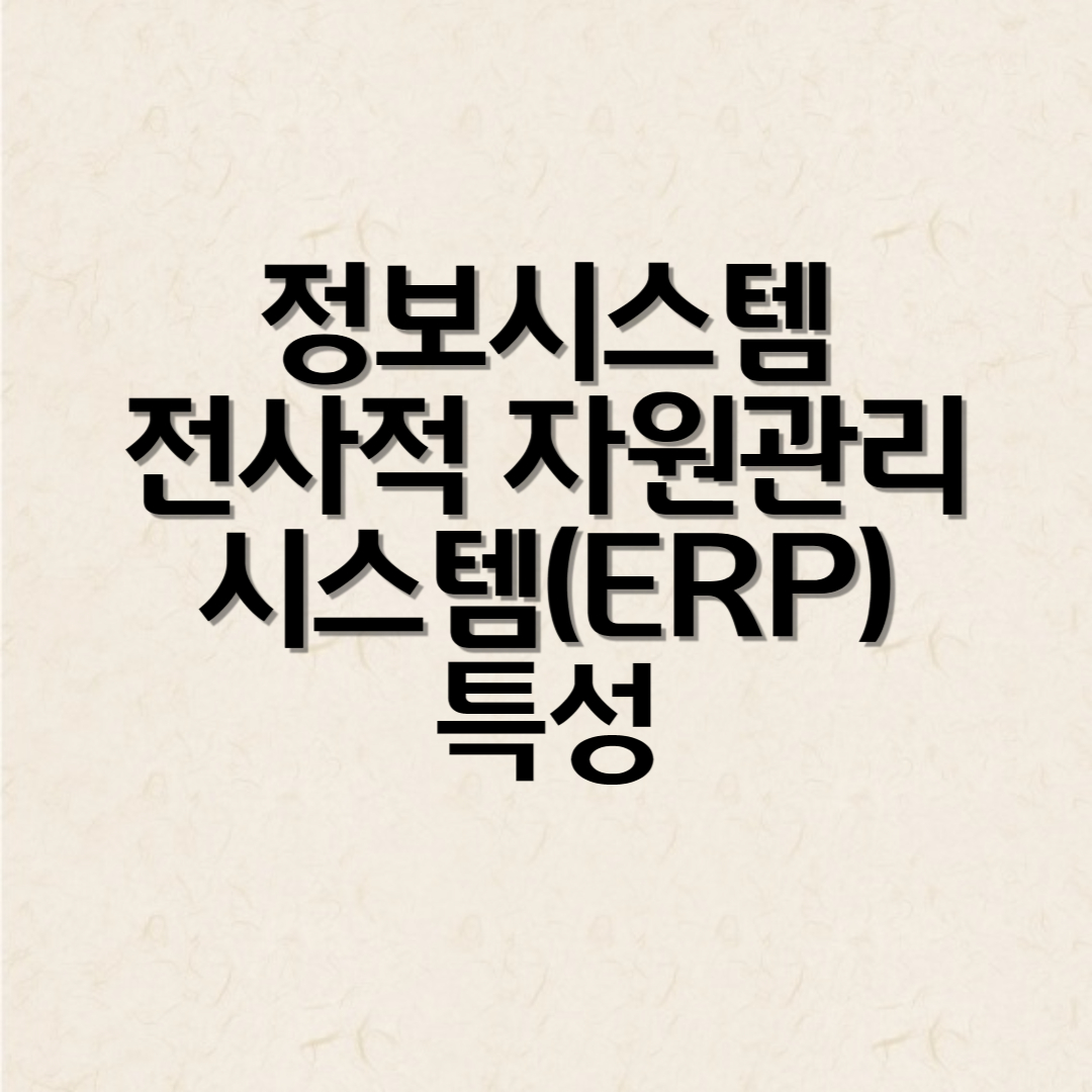 정보시스템 전사적 자원관리 시스템(ERP) 특성