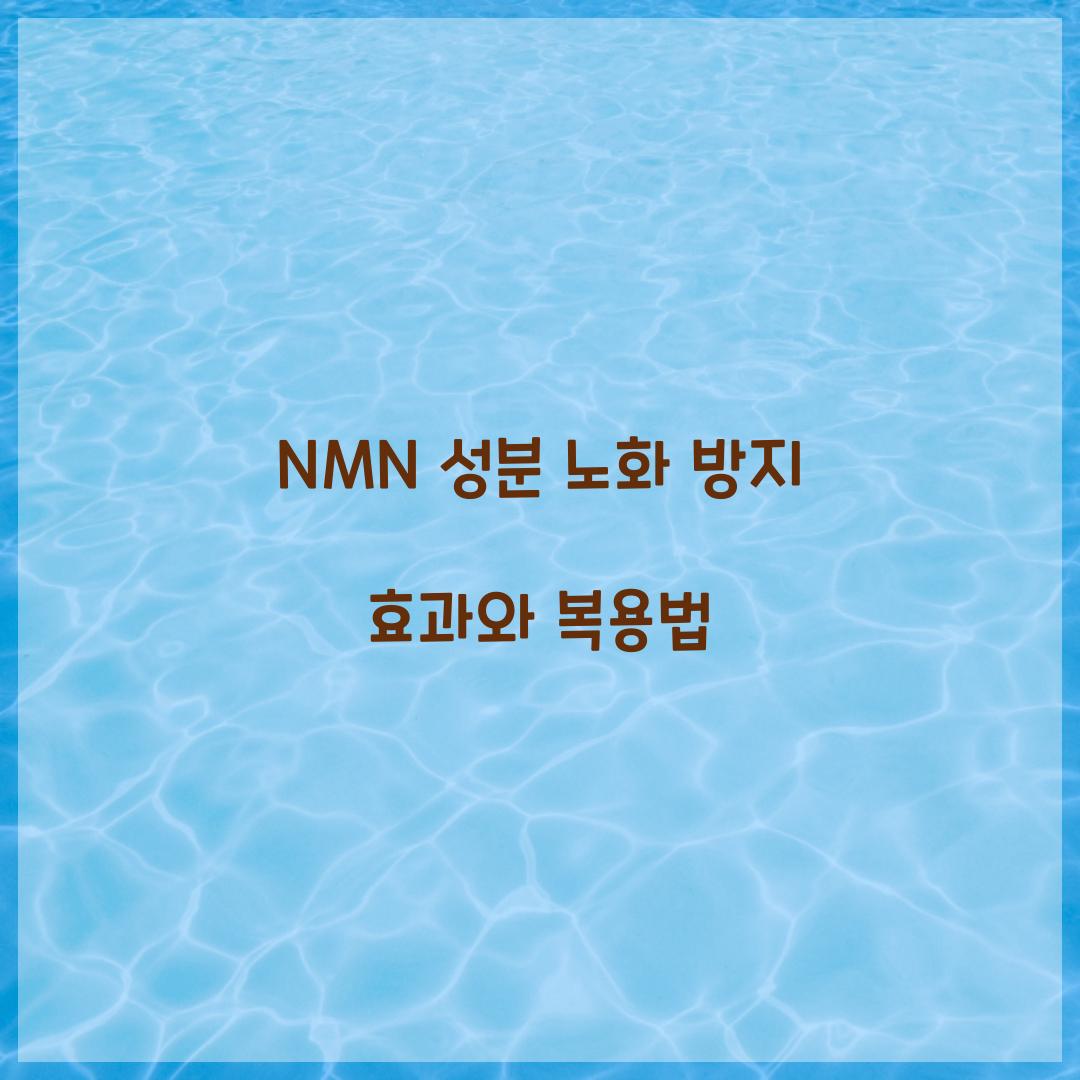 NMN 성분 노화 방지