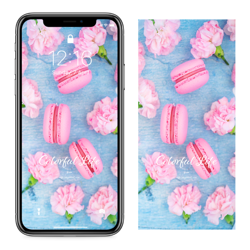 11 핑크 마카롱 C - Colorful Life 봄배경화면