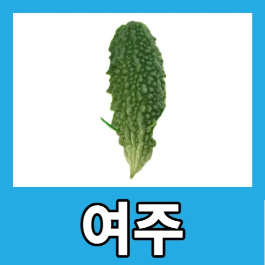 여주 효능 6가지 여주 분말 여주차 여주 먹는법 여주 피클