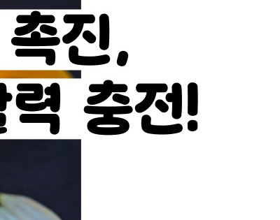 자몽 효능