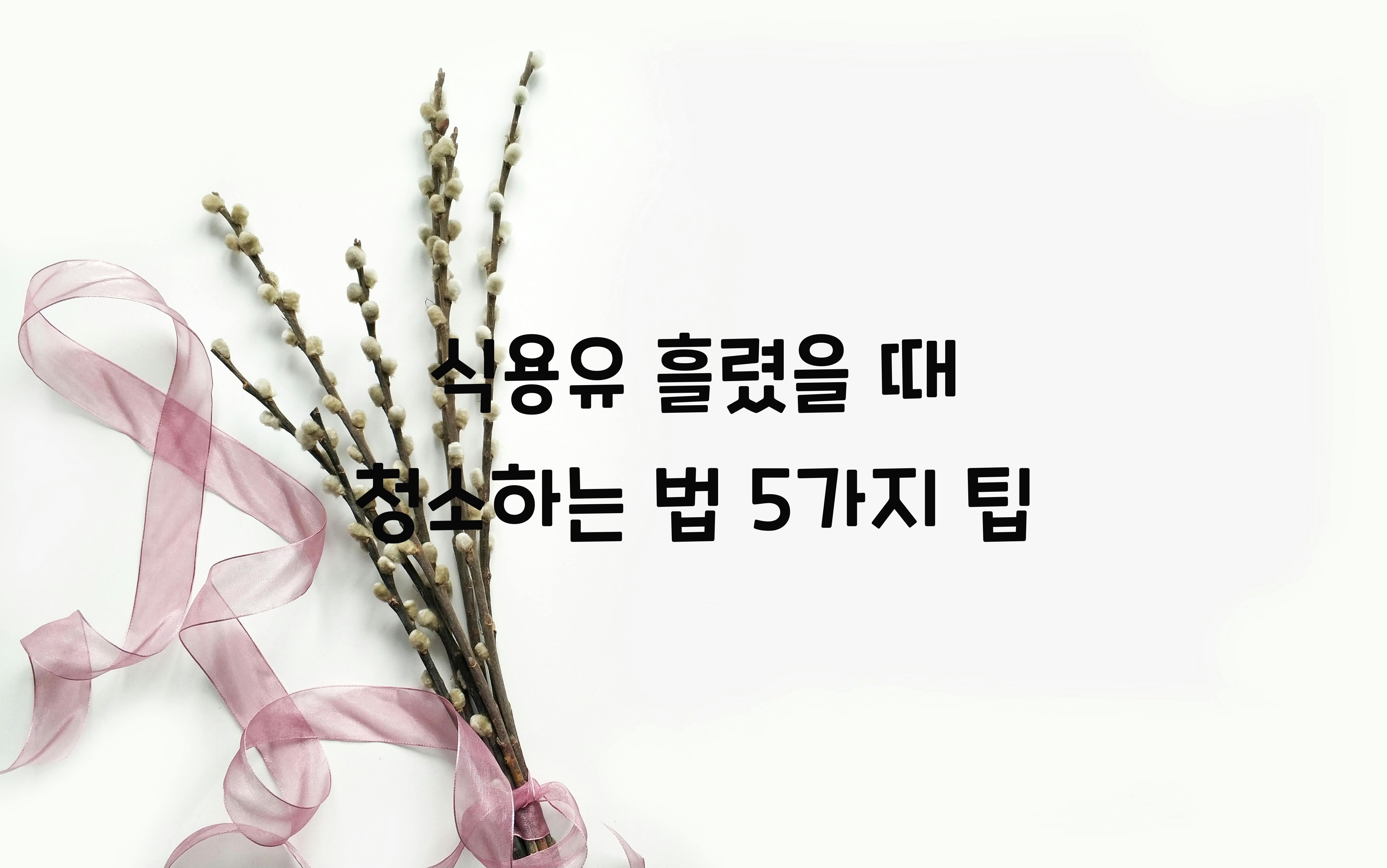 식용유 흘렸을 때 청소하는 법