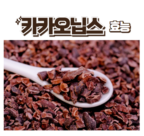 카카오닙스 효능