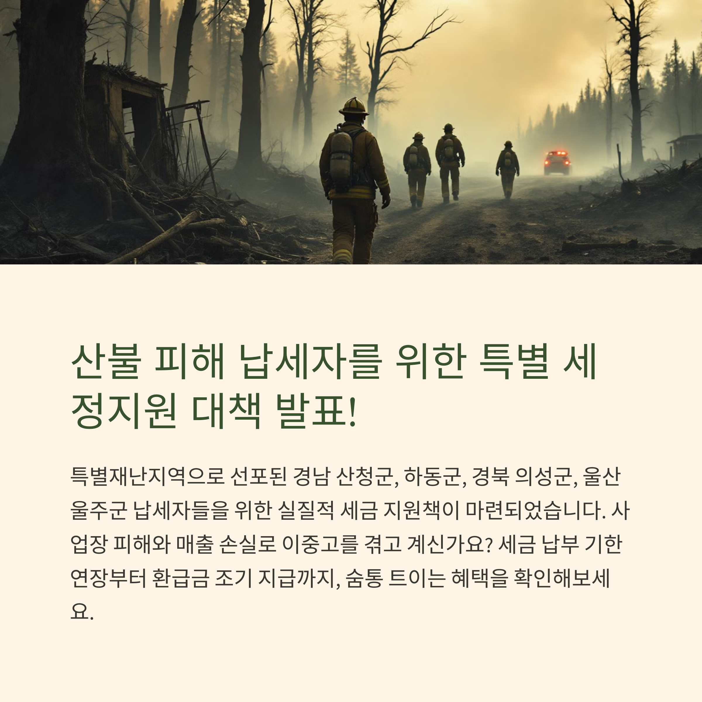 산불 피해 납세자 위한 실질 대책 발표