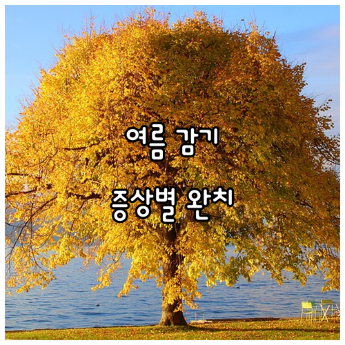 여름 감기 증상별 완벽 치료법..