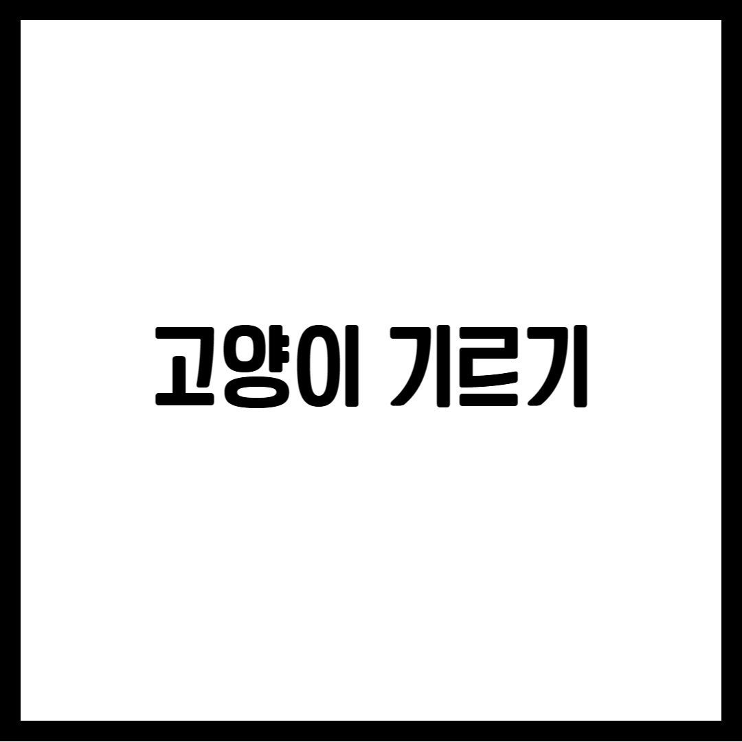 고양이 기르기