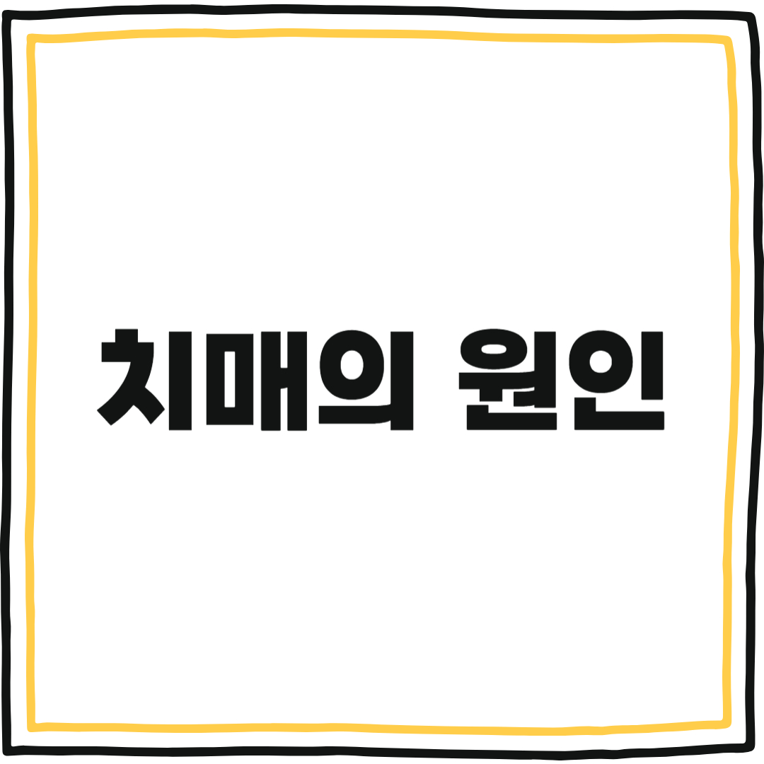 치매원인