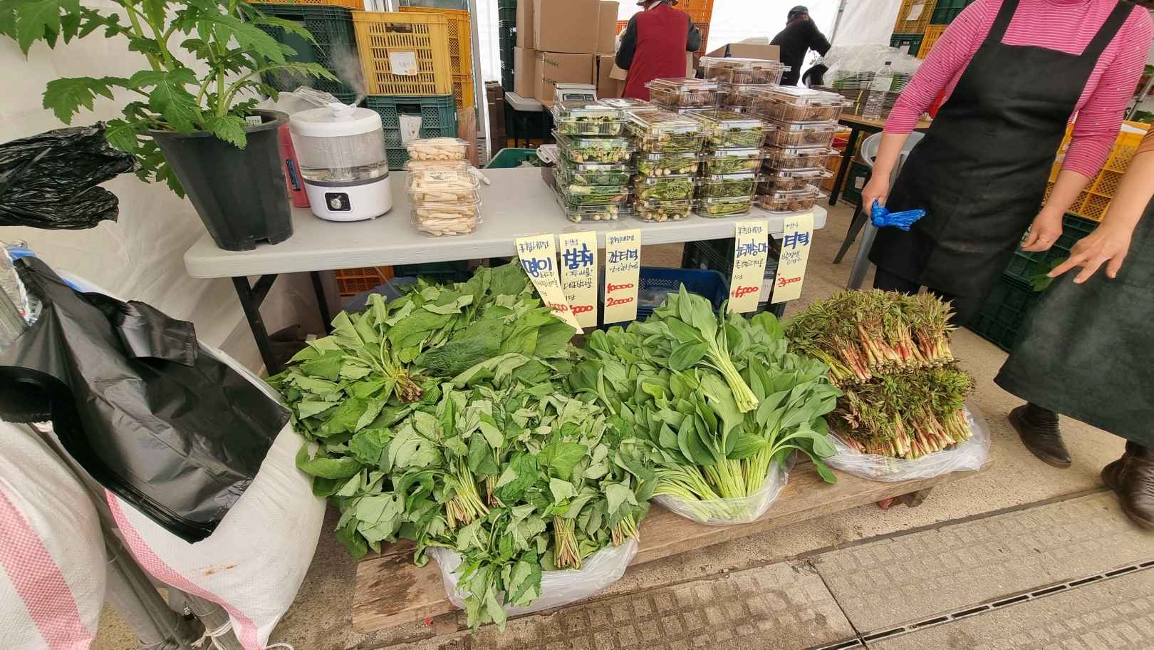 홍천 산나물축제