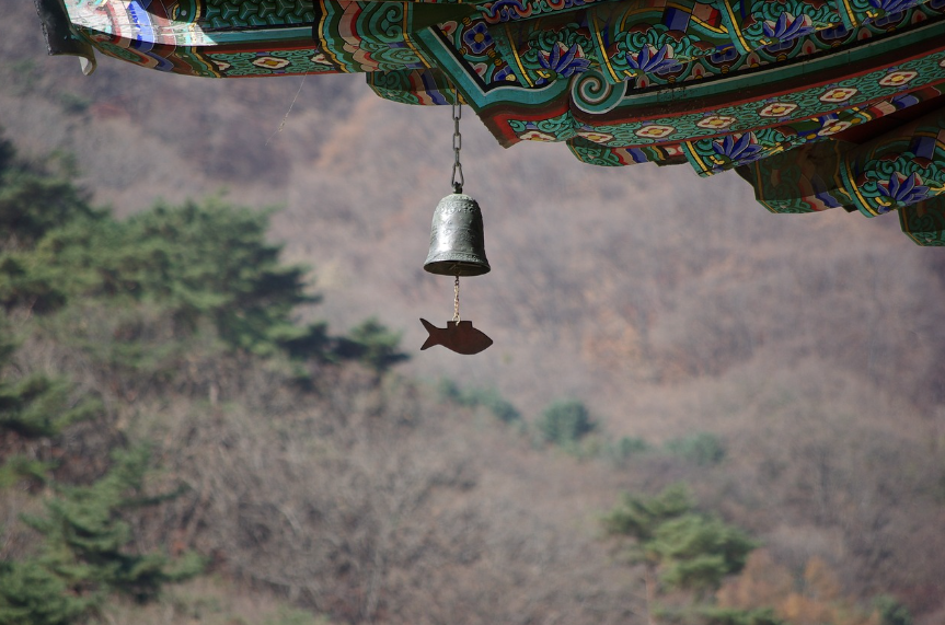 한적한 사찰과 명상 여행