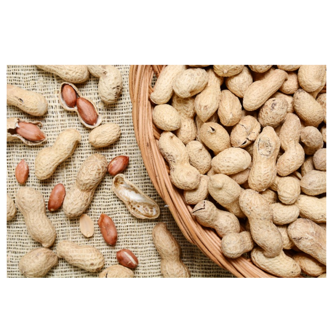 코엔자임 큐텐과 관련된 사진입니다.