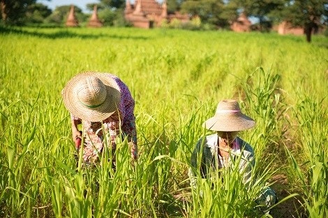 농업진흥지역 내 근로자 숙소·무더위 쉼터 등 설치 가능해진다