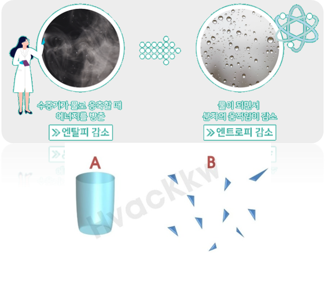 엔트로피와 비가역 과정의 과학적 의미