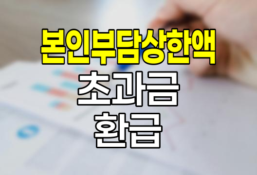 본인부담상한액 초과금 환급 전략