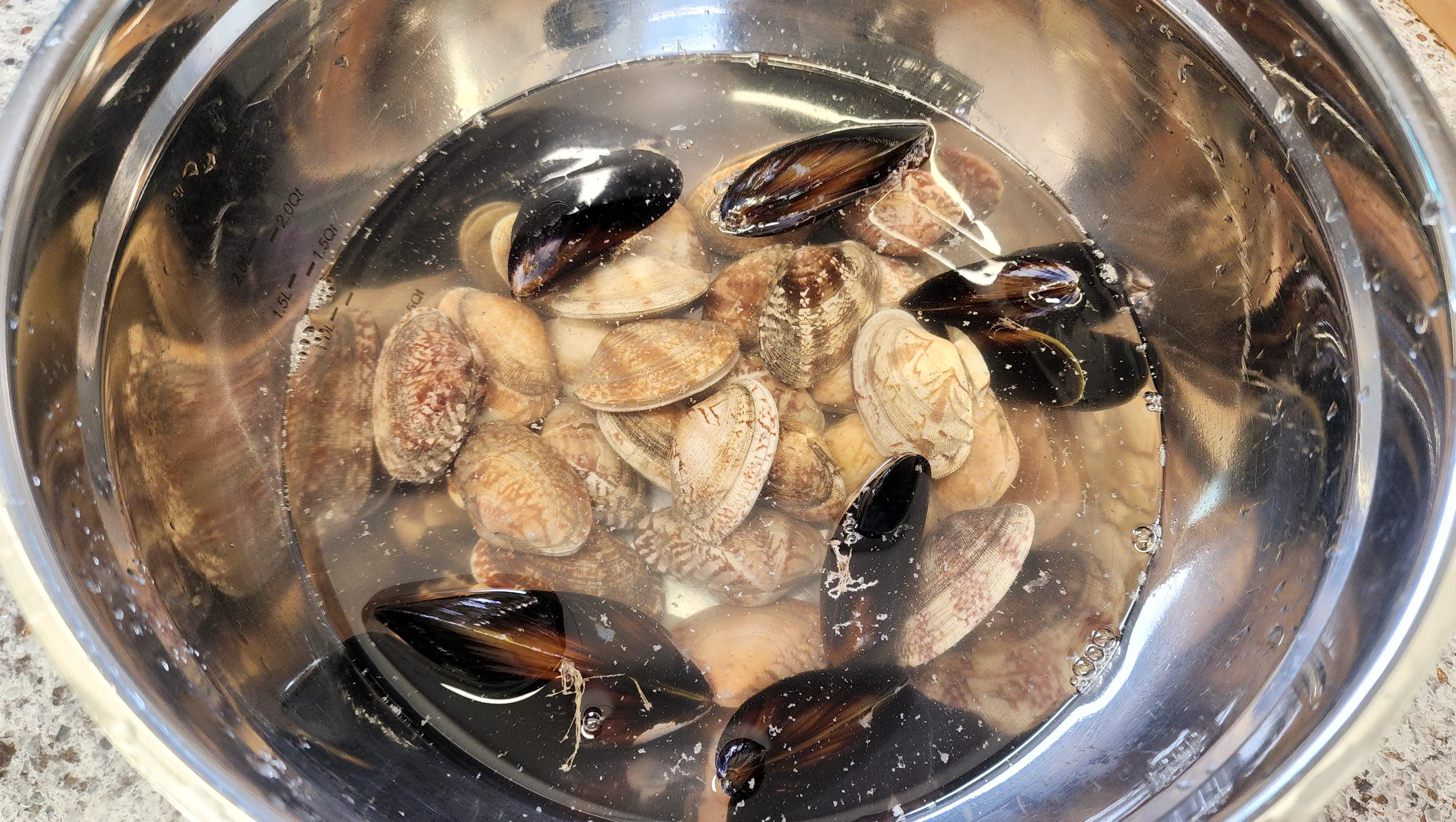 해감전-물에-담가져있는-홍합과-바지락_01