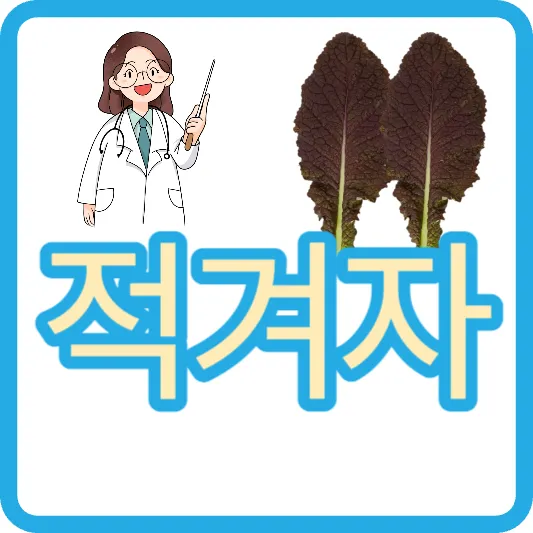 적겨자 효능 적겨자 겨자 연겨자 칼로리
