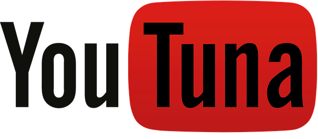 콘텐츠 크리에이터를 위한 글로벌 SNS 분석: 유튜브, 틱톡, 인스타그램