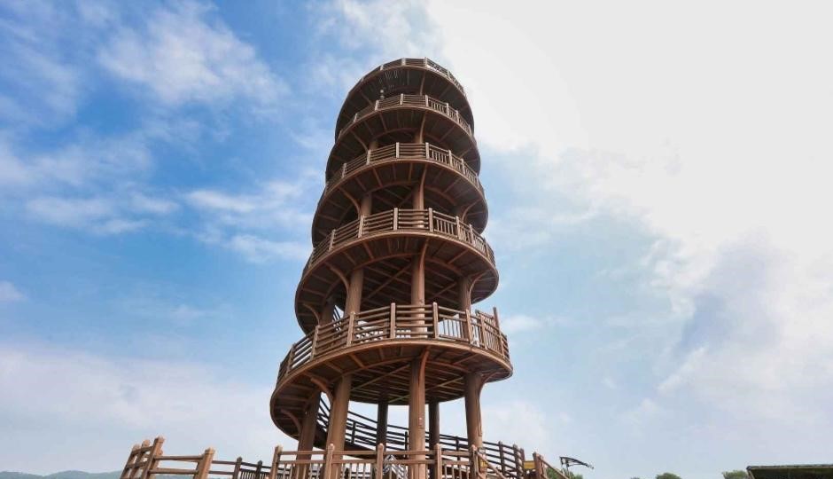 시흥 갯골생태공원 완벽 가이드: 특별한 내륙 염습지에서 만나는 생태 힐링