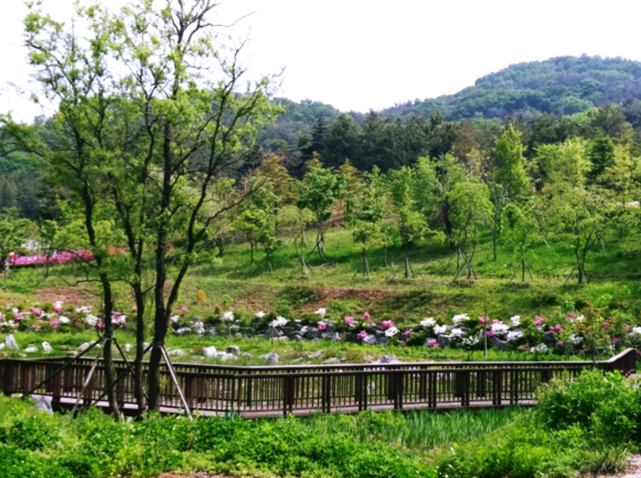 대부도 가볼만한곳 베스트10