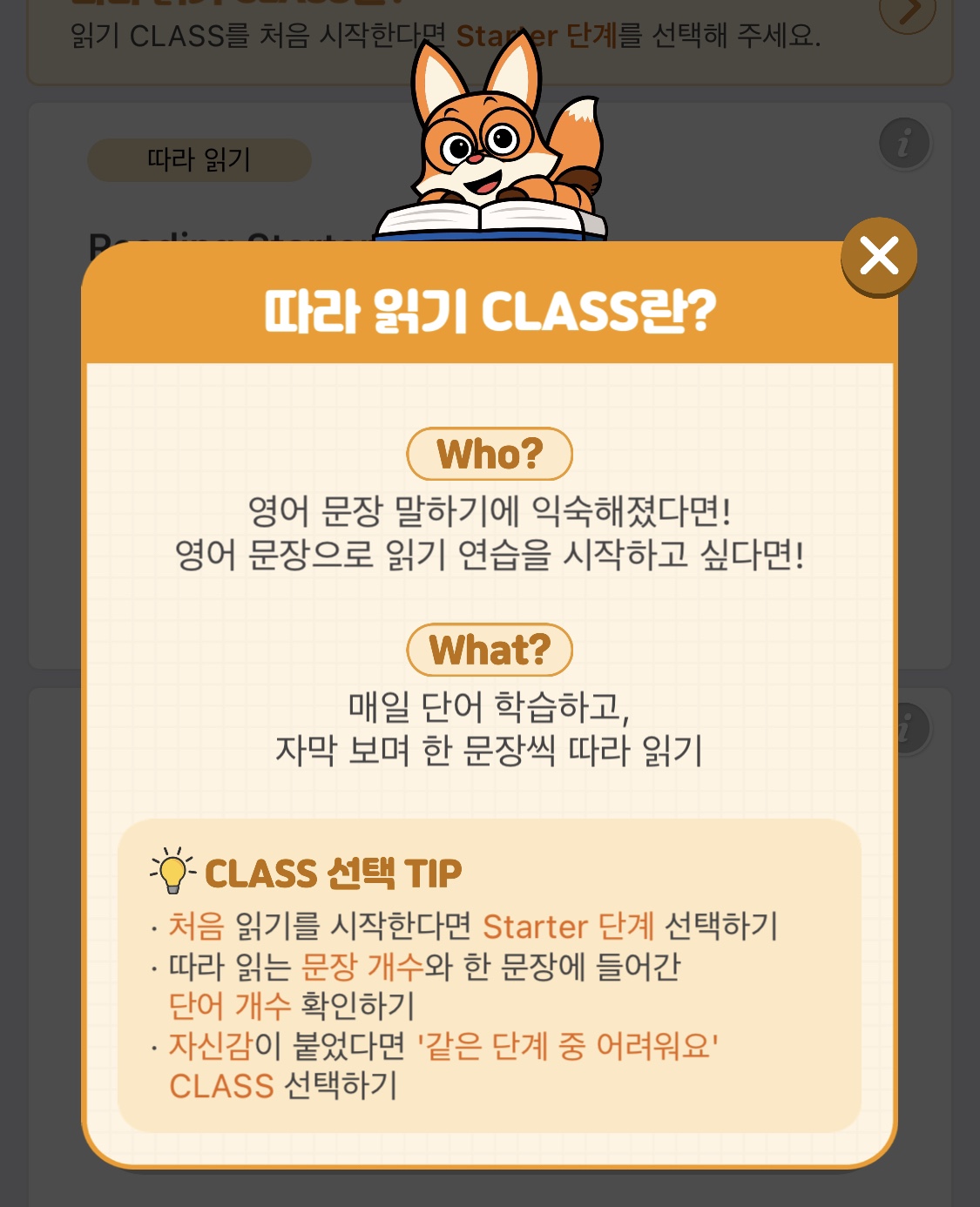 리틀팍스 후기