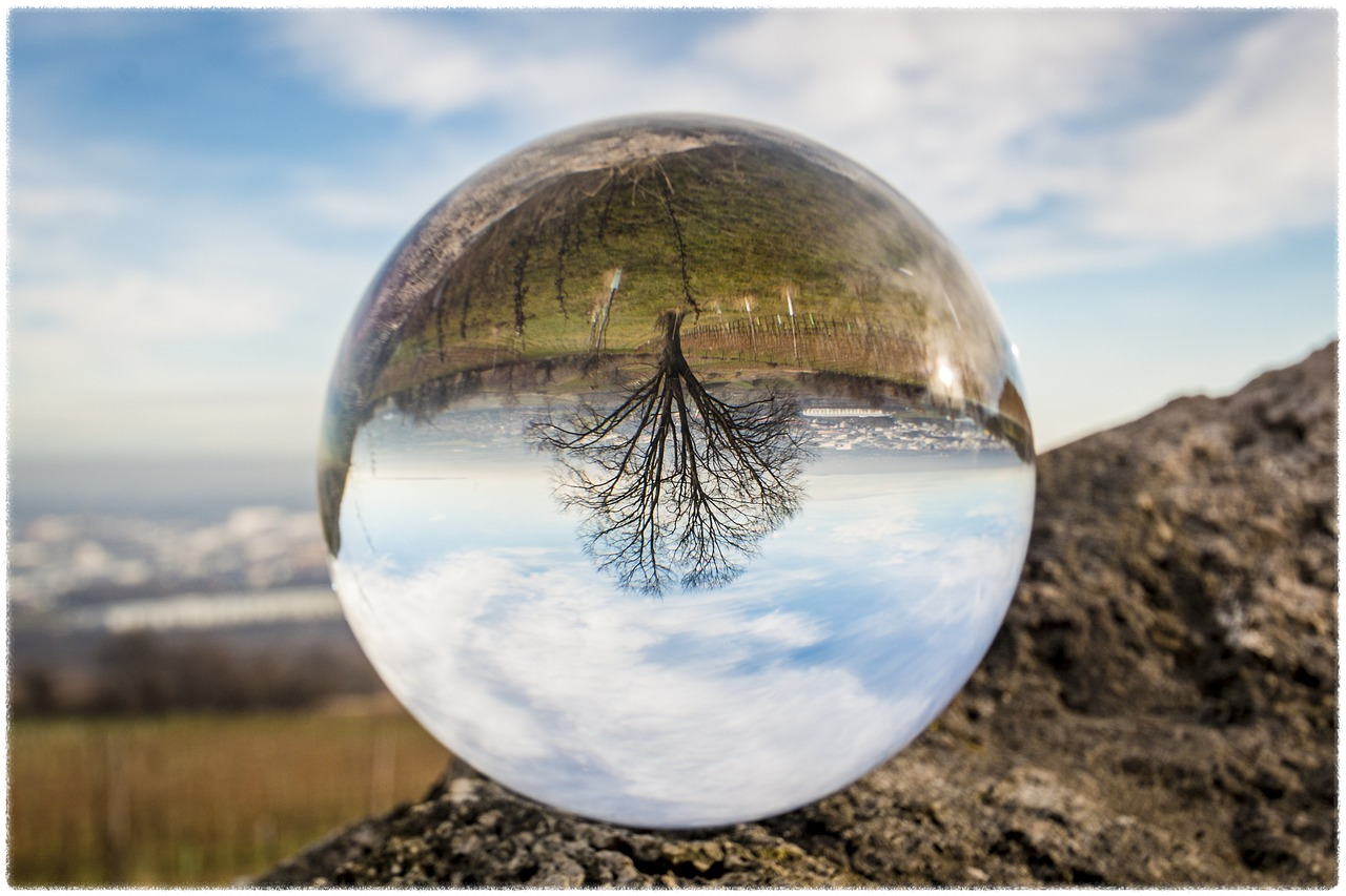 2025 신한생명 무료운세