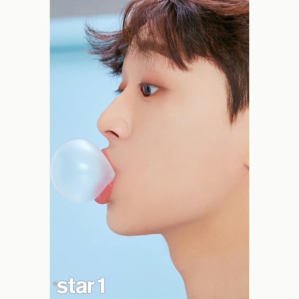 이찬원 나이, 콘서트, 팬카페, 키, 몸무게, 고향, 가족, 노래 학력 이찬원의 선물