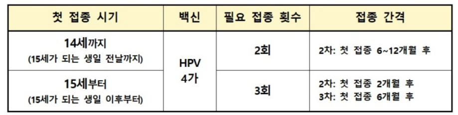 hpv 접종횟수