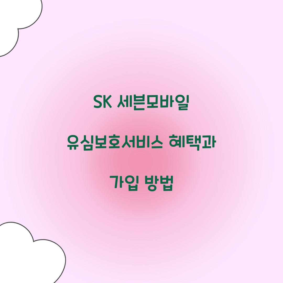 SK 세븐모바일 유심보호서비스