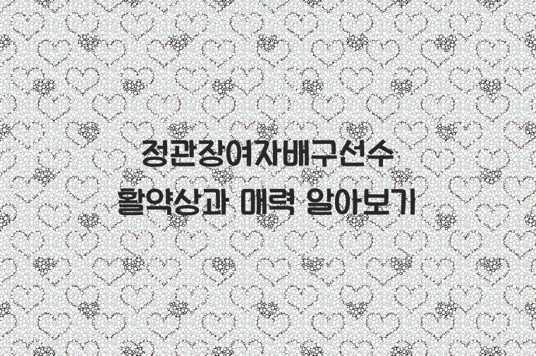 정관장여자배구선수