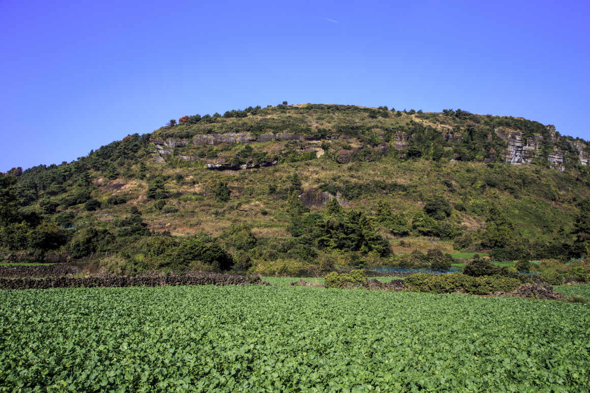 제주 올레 1코스, 제주 도보 여행