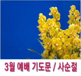 사순절 대표기도문 묵상집 모음_14