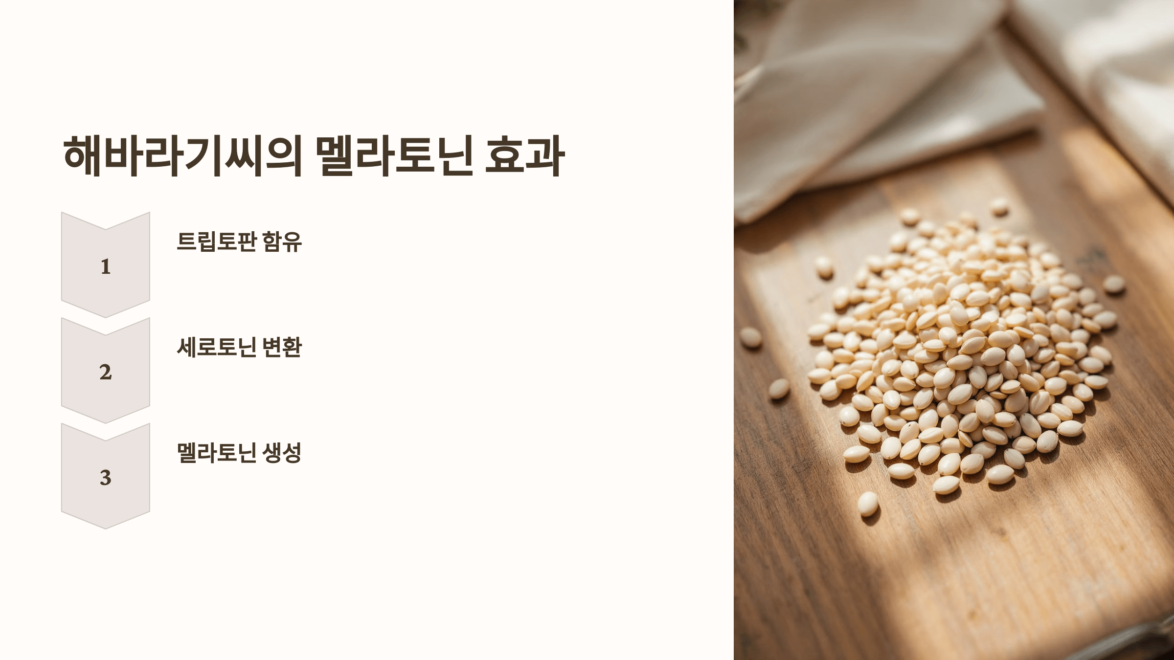 멜라토닌과 관련된 사진입니다.