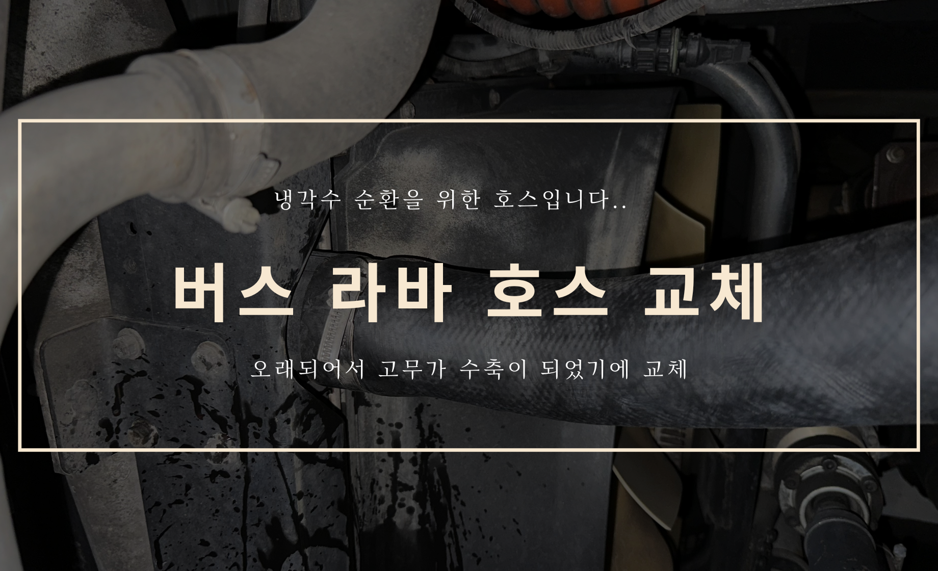 버스 냉각 호스 교체하기....