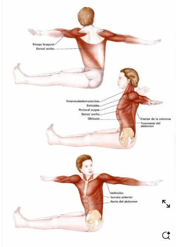 The Spine Twist (스파인 트위스트)