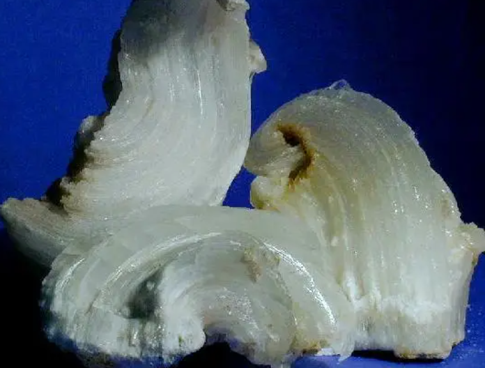 세볼라이트(Cebollite)