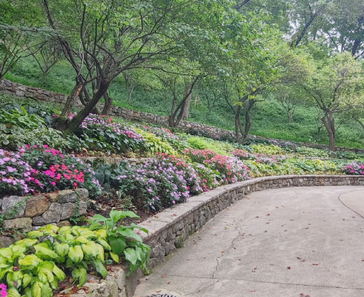 경기도 단풍 명소 곤지암 화담숲