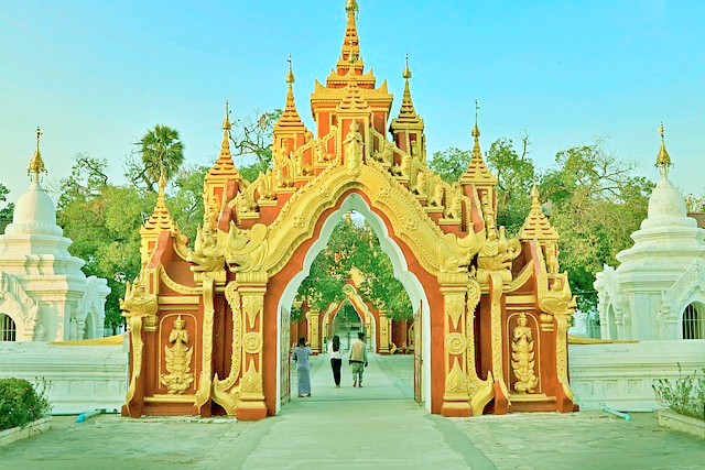 비상금 전국민신청