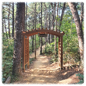 운곡솔바람숲길
