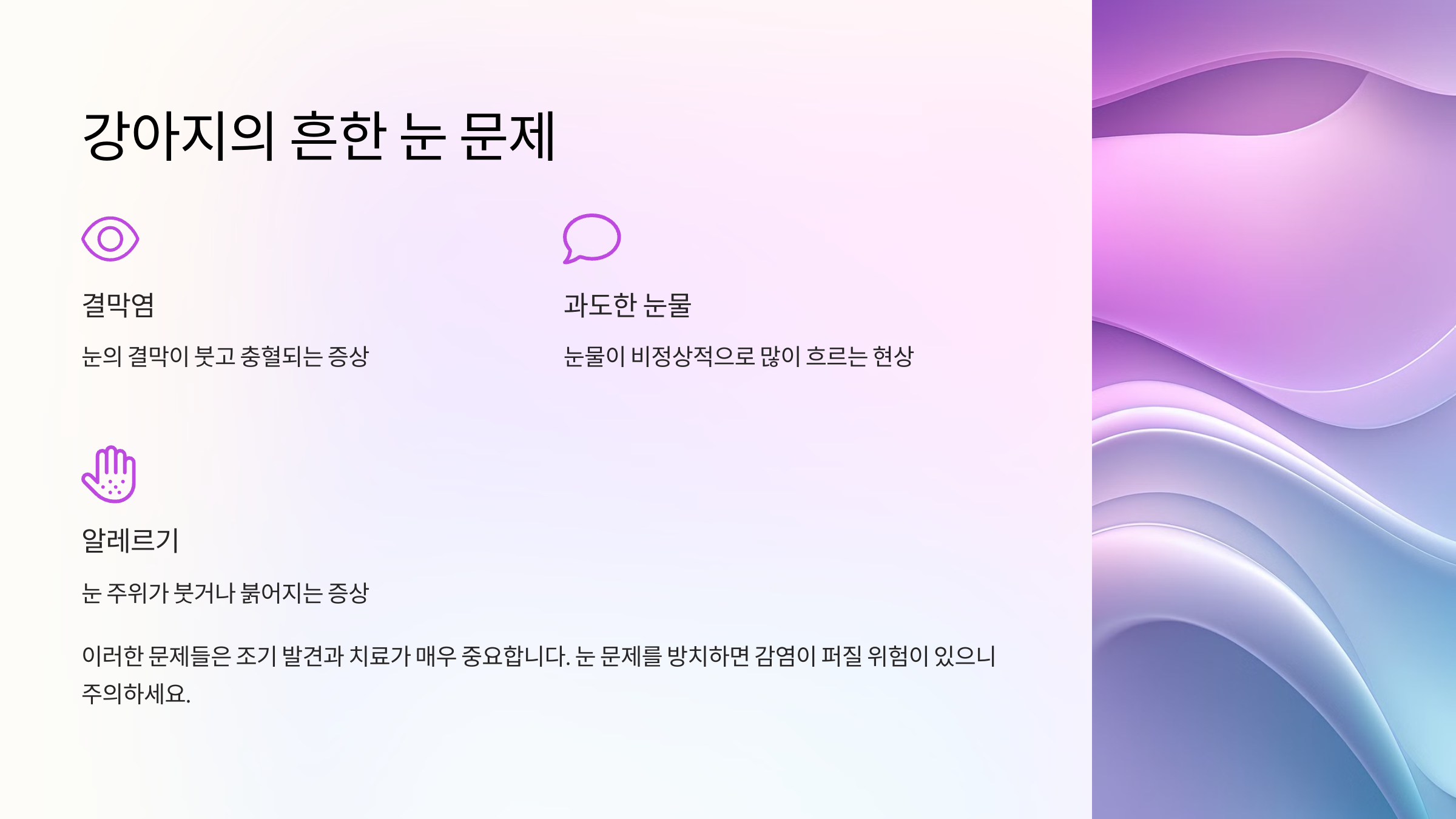 강아지의 흔한 눈 문제
