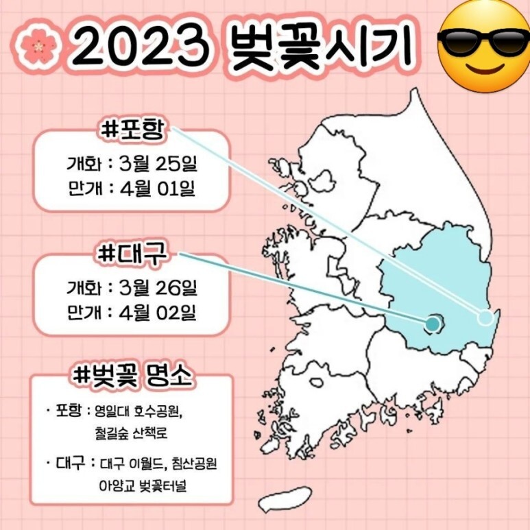 2023년 벚꽃 개화시기