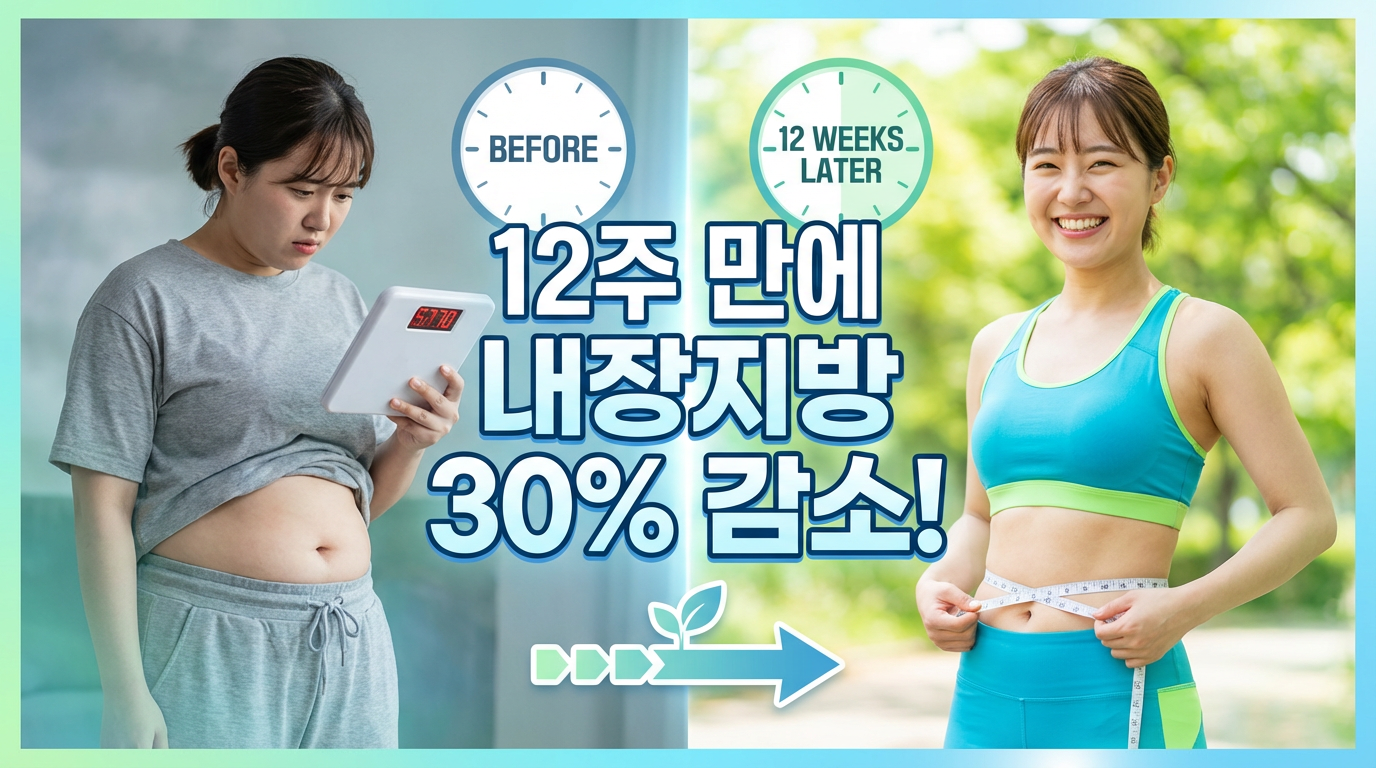 내장지방 감소 - 12주 만에 30%