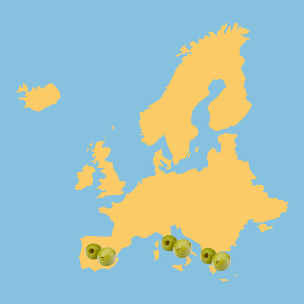 올리브오일 생산지역