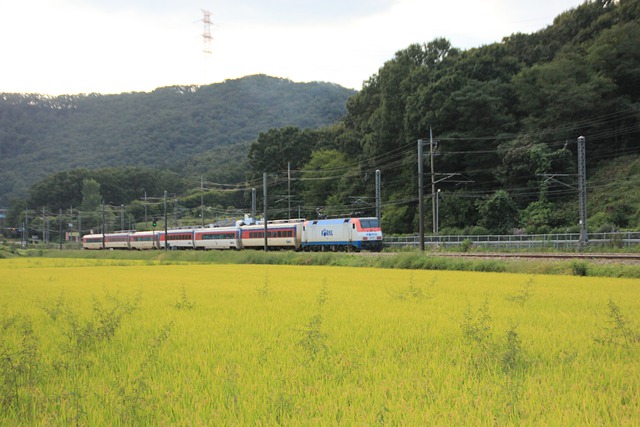 “동대구역_경주역_대구선_무궁화호_열차시간표_1”
