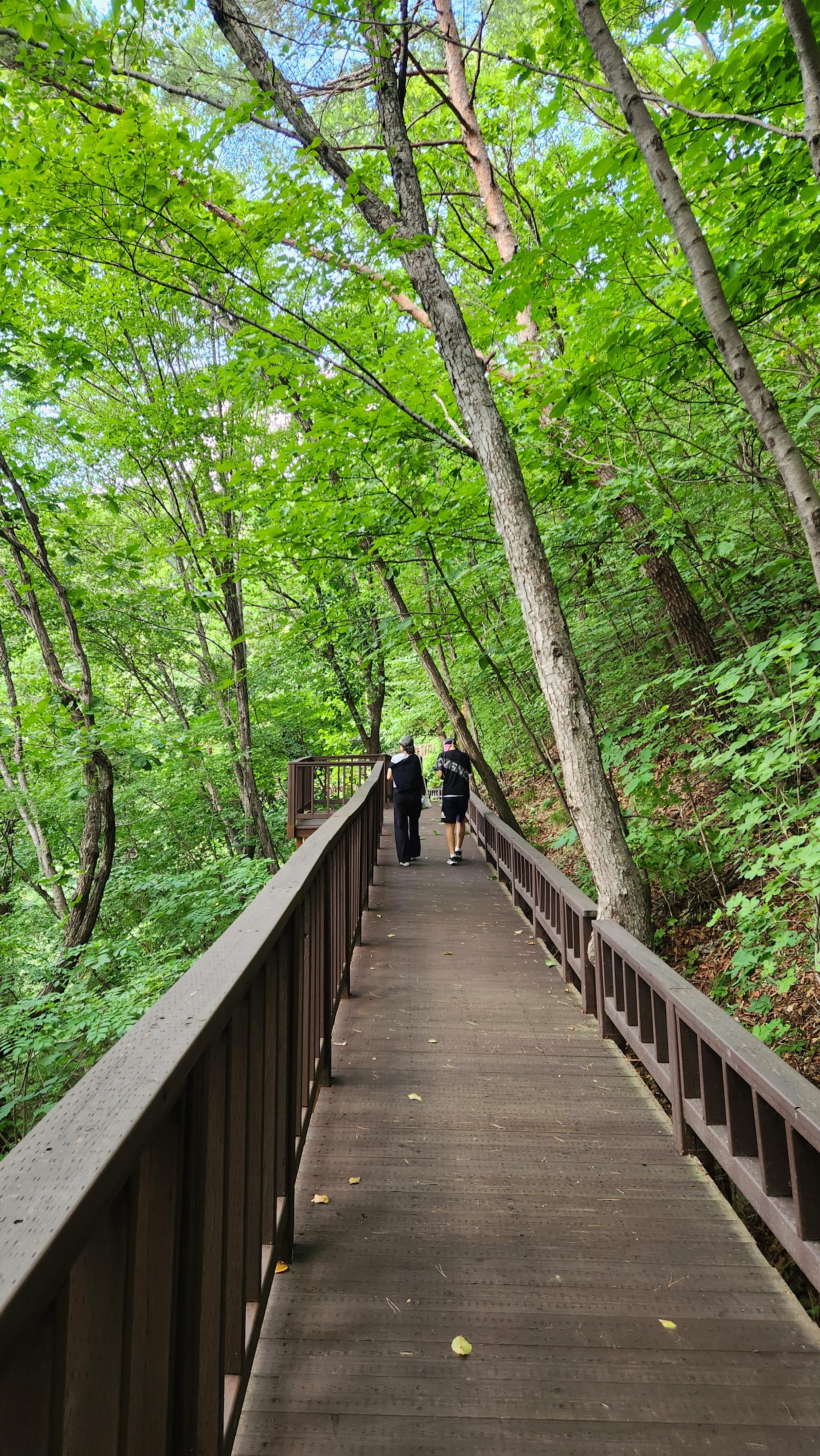 가을에 다시 찾고 싶은 국립산림치유원 예천 문필마을, 문필 데크로드