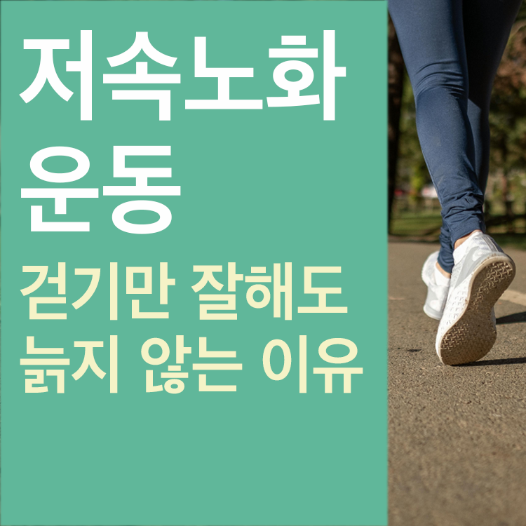 저속노화 걷기 운동 효과