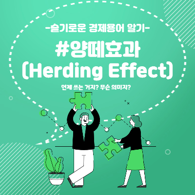 양떼효과