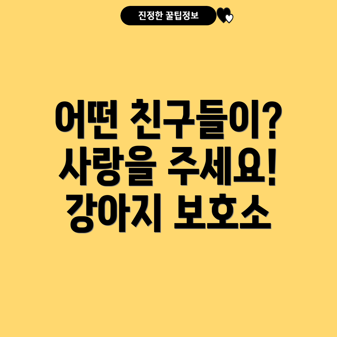 강릉 강아지 보호소 정보